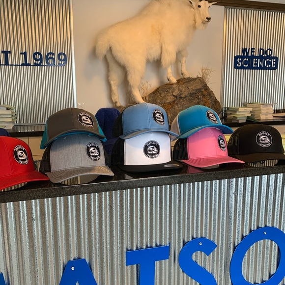 The Classic Accessories Classics Snapback Bobcat Skull Matsons Lab